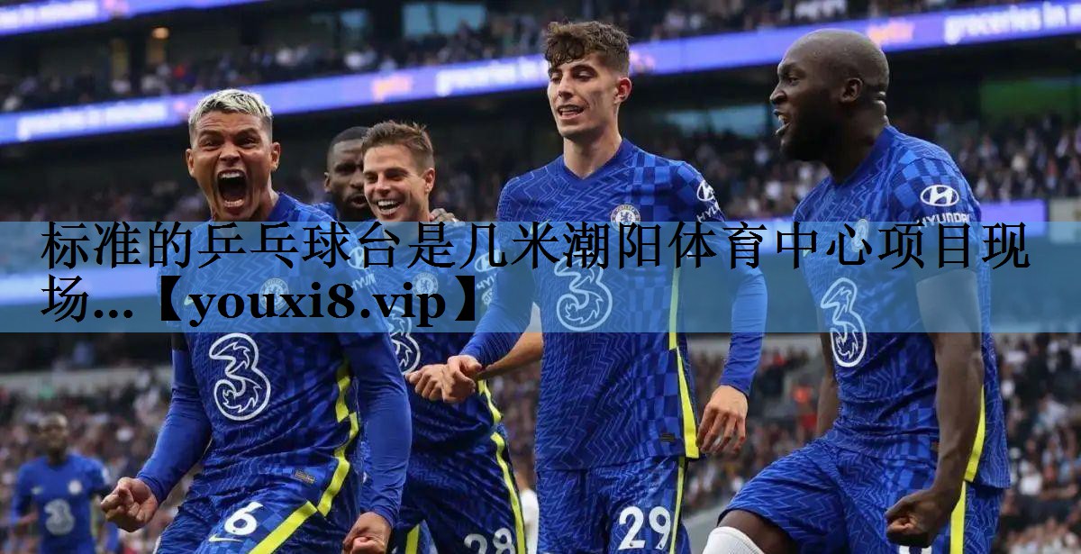 标准的乒乓球台是几米潮阳体育中心项目现场…