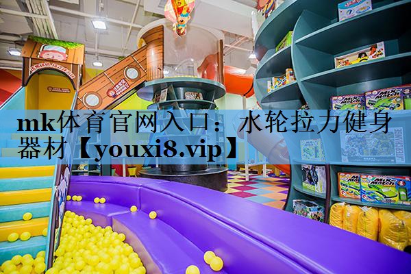 mk体育官网入口：水轮拉力健身器材