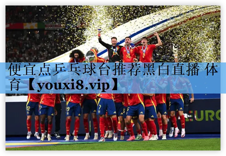 便宜点乒乓球台推荐黑白直播 体育