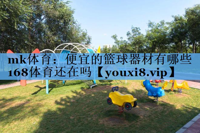 mk体育：便宜的篮球器材有哪些168体育还在吗