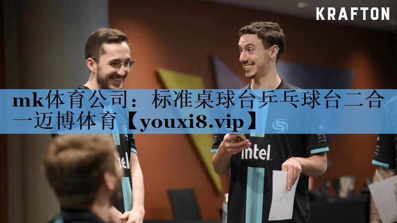 mk体育公司：标准桌球台乒乓球台二合一迈博体育