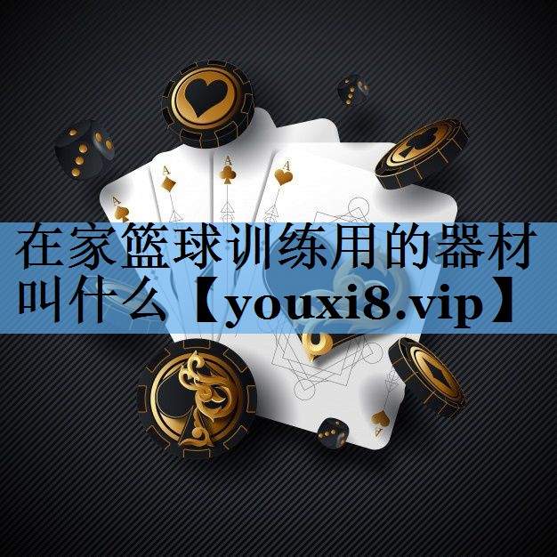 在家篮球训练用的器材叫什么
