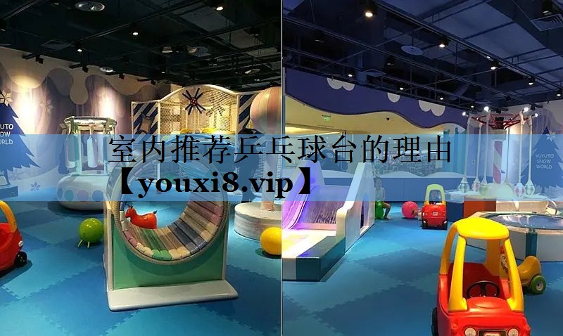室内推荐乒乓球台的理由